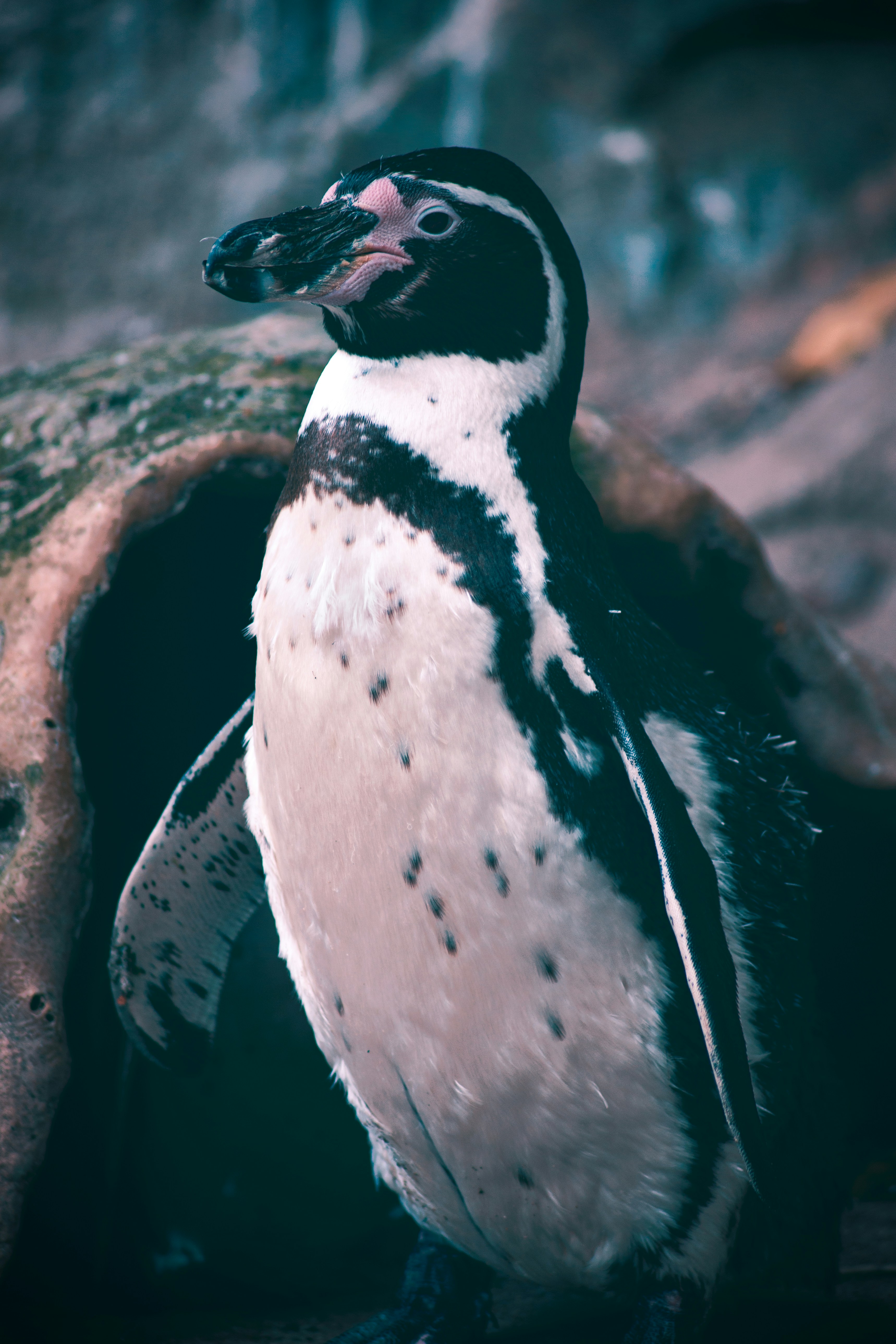 Photo by jake_oates2000