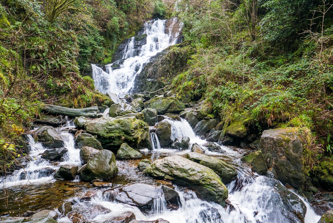 water falls in the middle of the forest