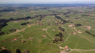 aerial view of green grass field during daytime