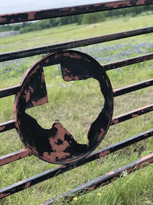 A metal gate with a silhouette cutout of Texas, featuring a rustic appearance with visible patches of worn paint. Behind the gate is a field of green grass, interspersed with patches of blue wildflowers, and a tree line in the distance under a cloudy sky.
