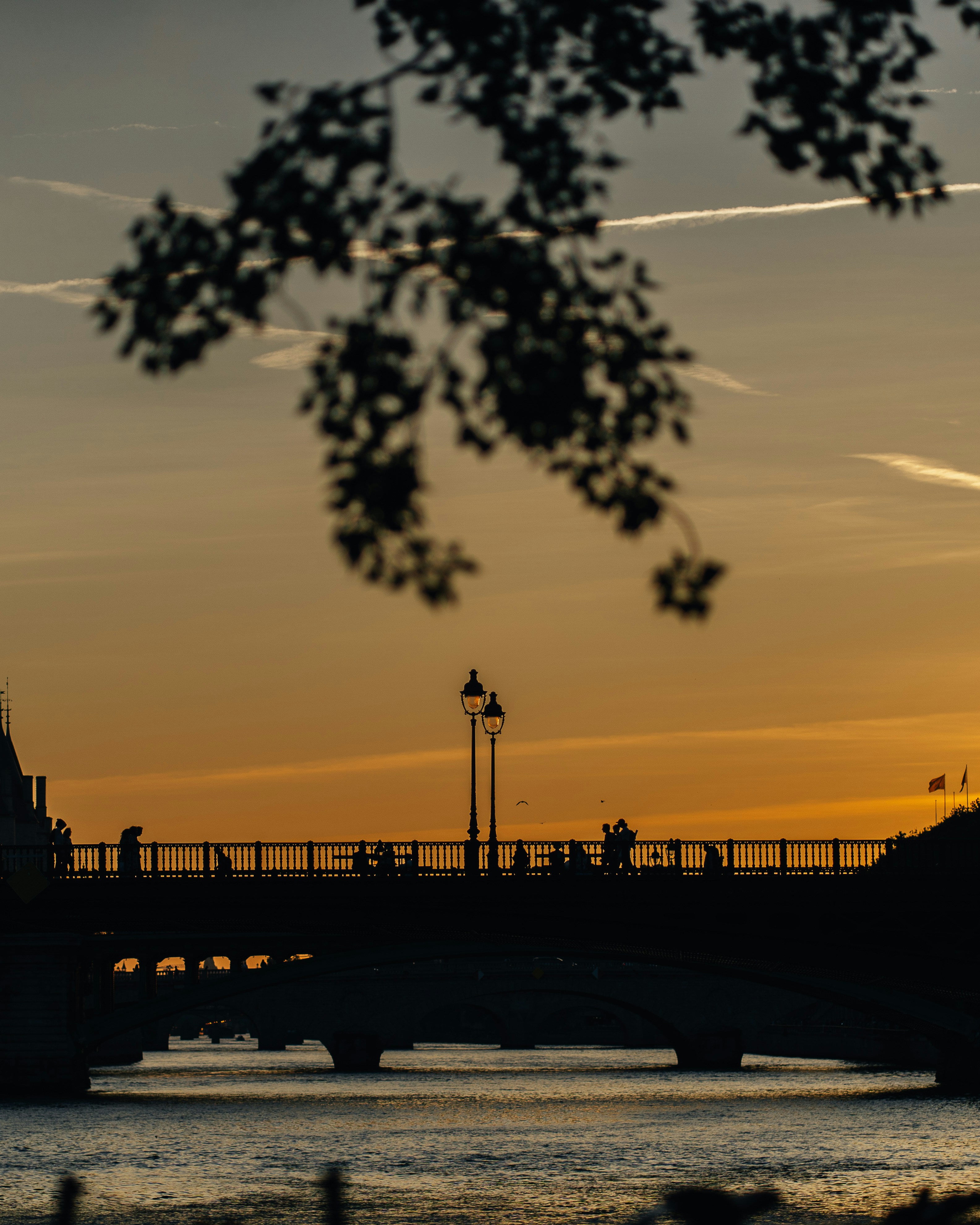 Photo by real_jansen