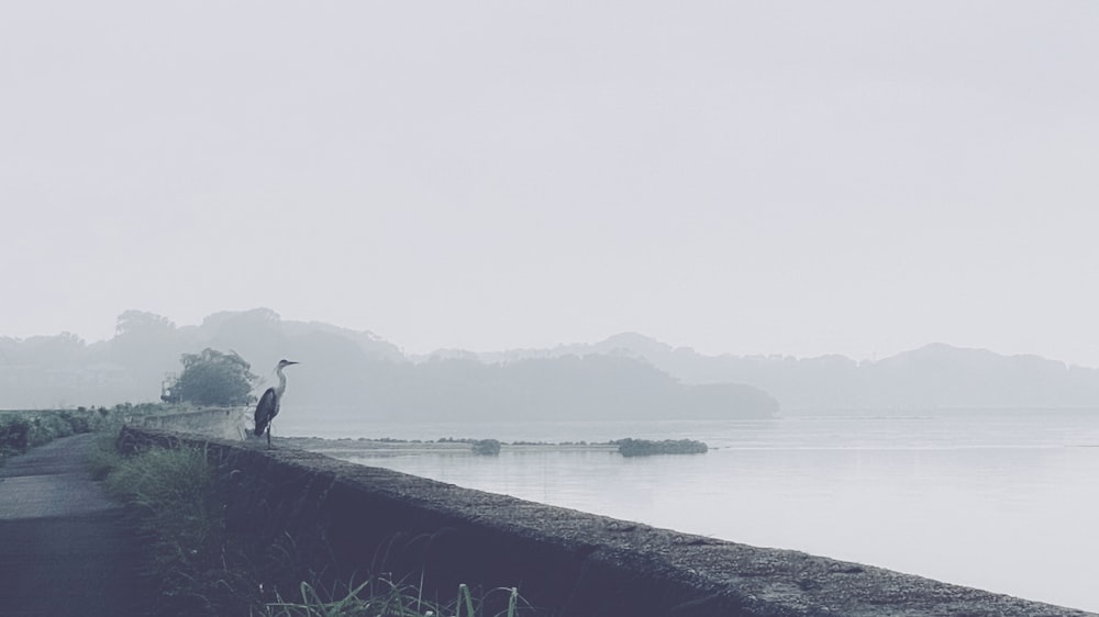 person standing on a rock by the sea