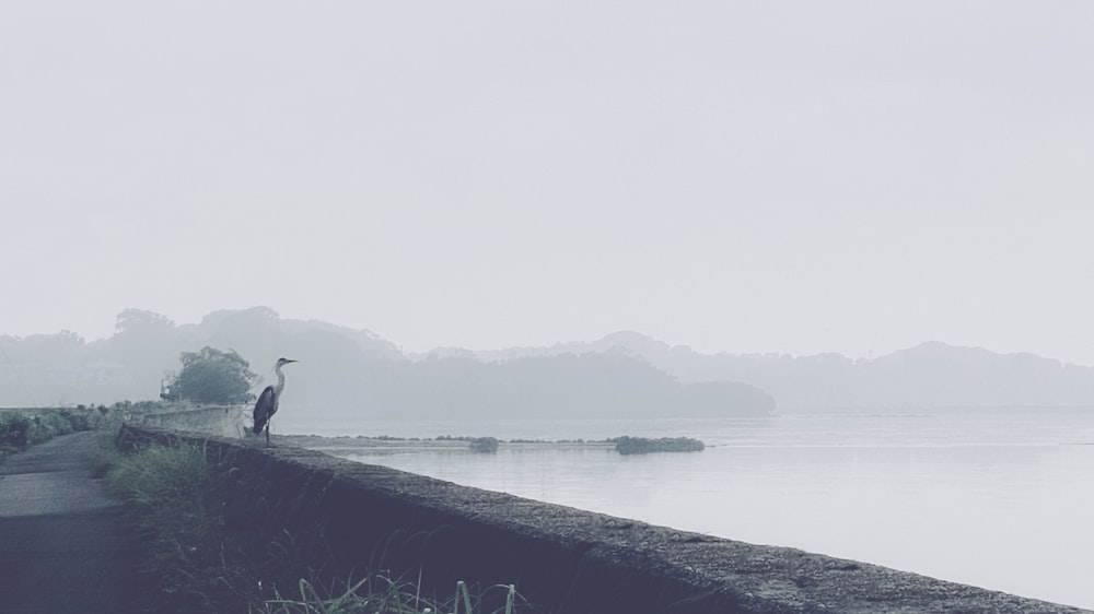 persona in piedi su una roccia in riva al mare