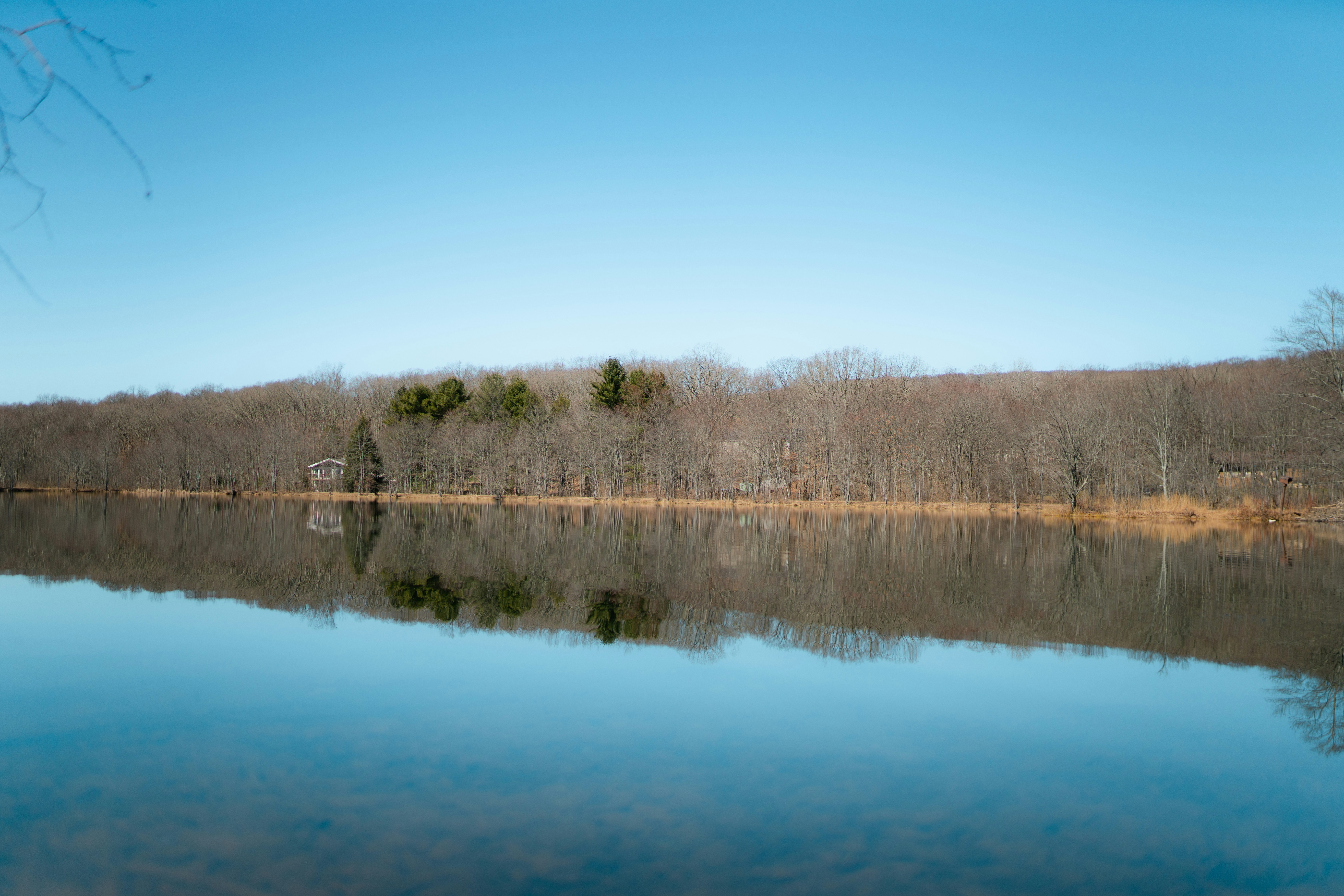 Photo by benjaminzhao