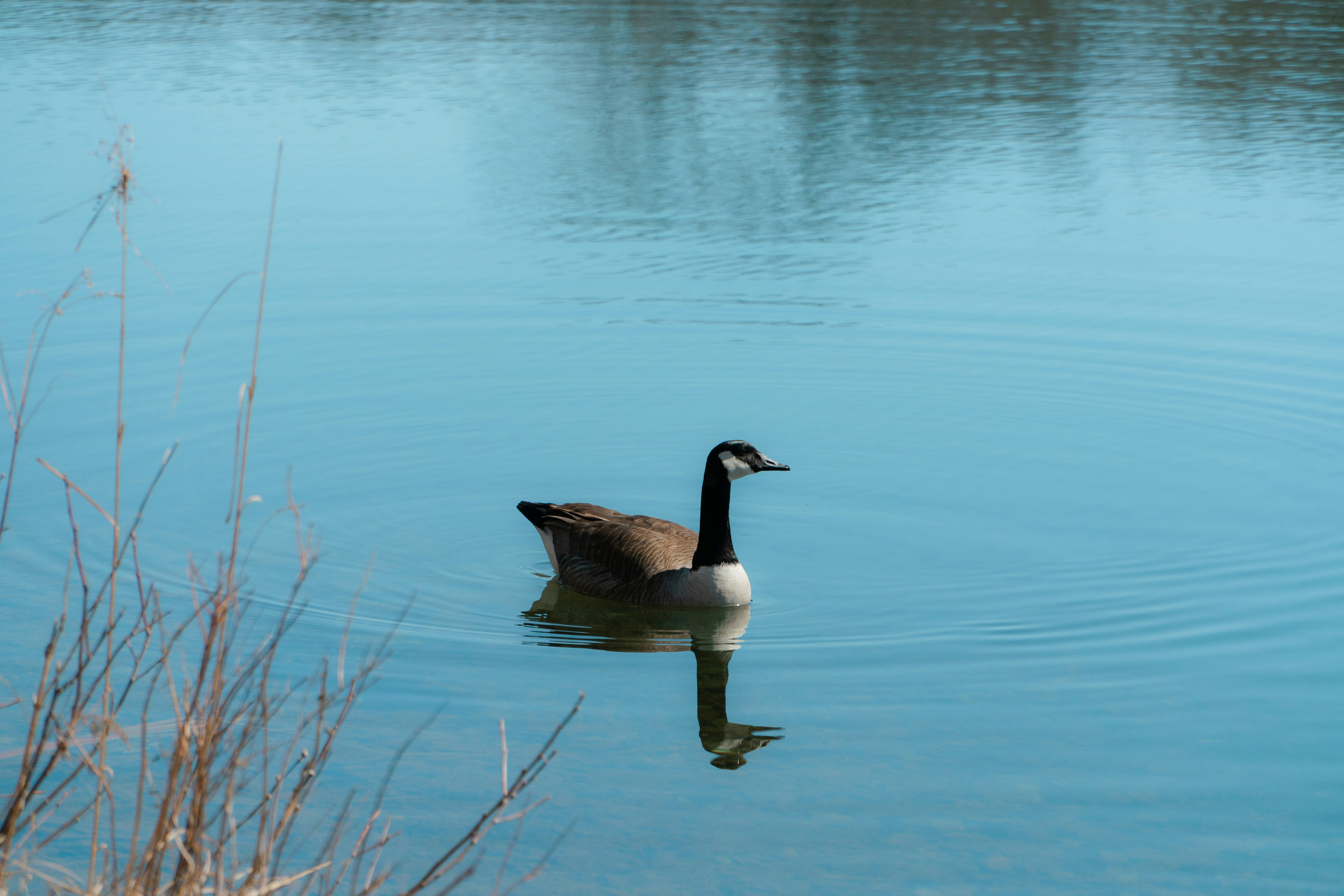 Photo by benjaminzhao