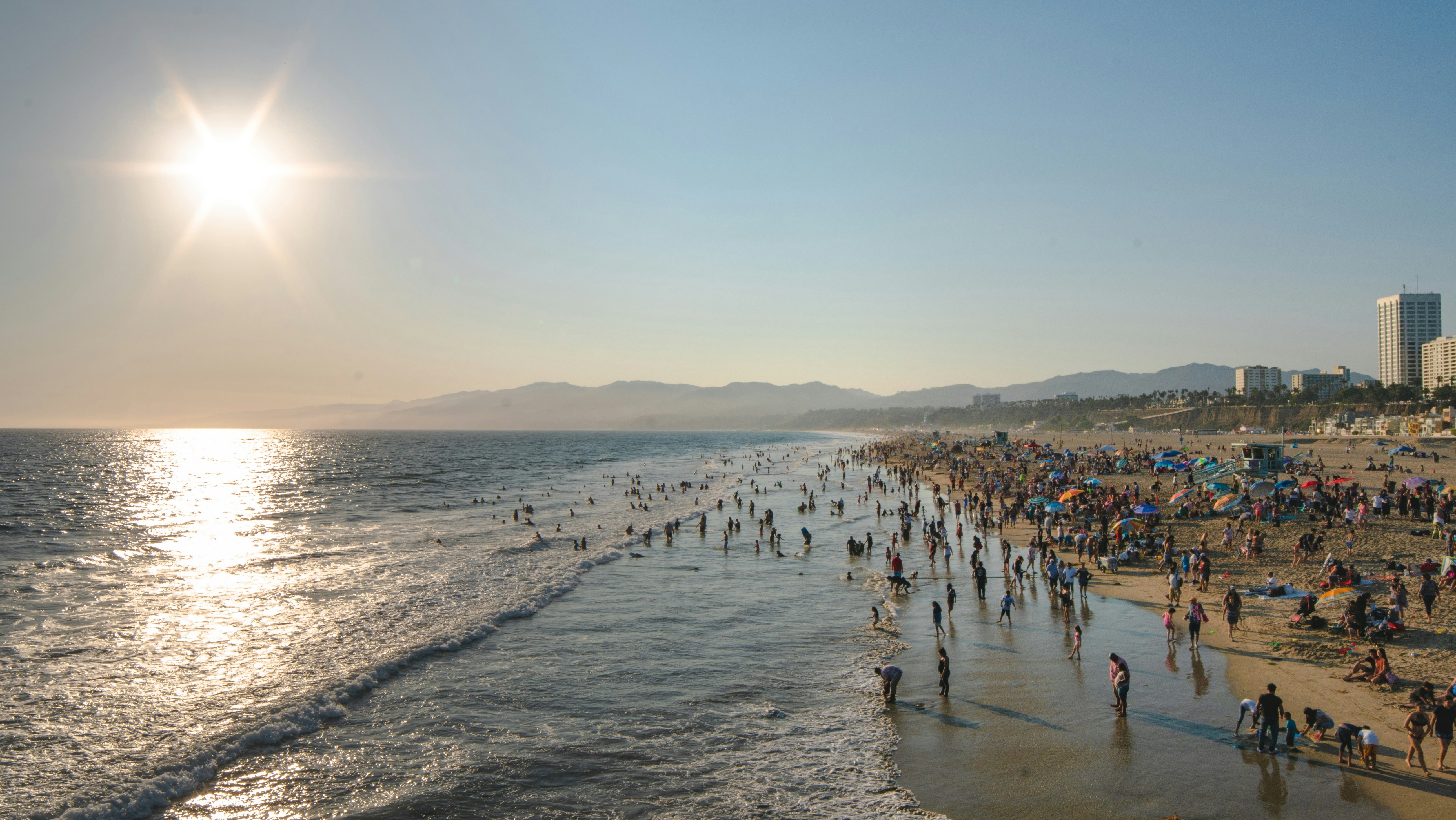 people on beach during daytime
