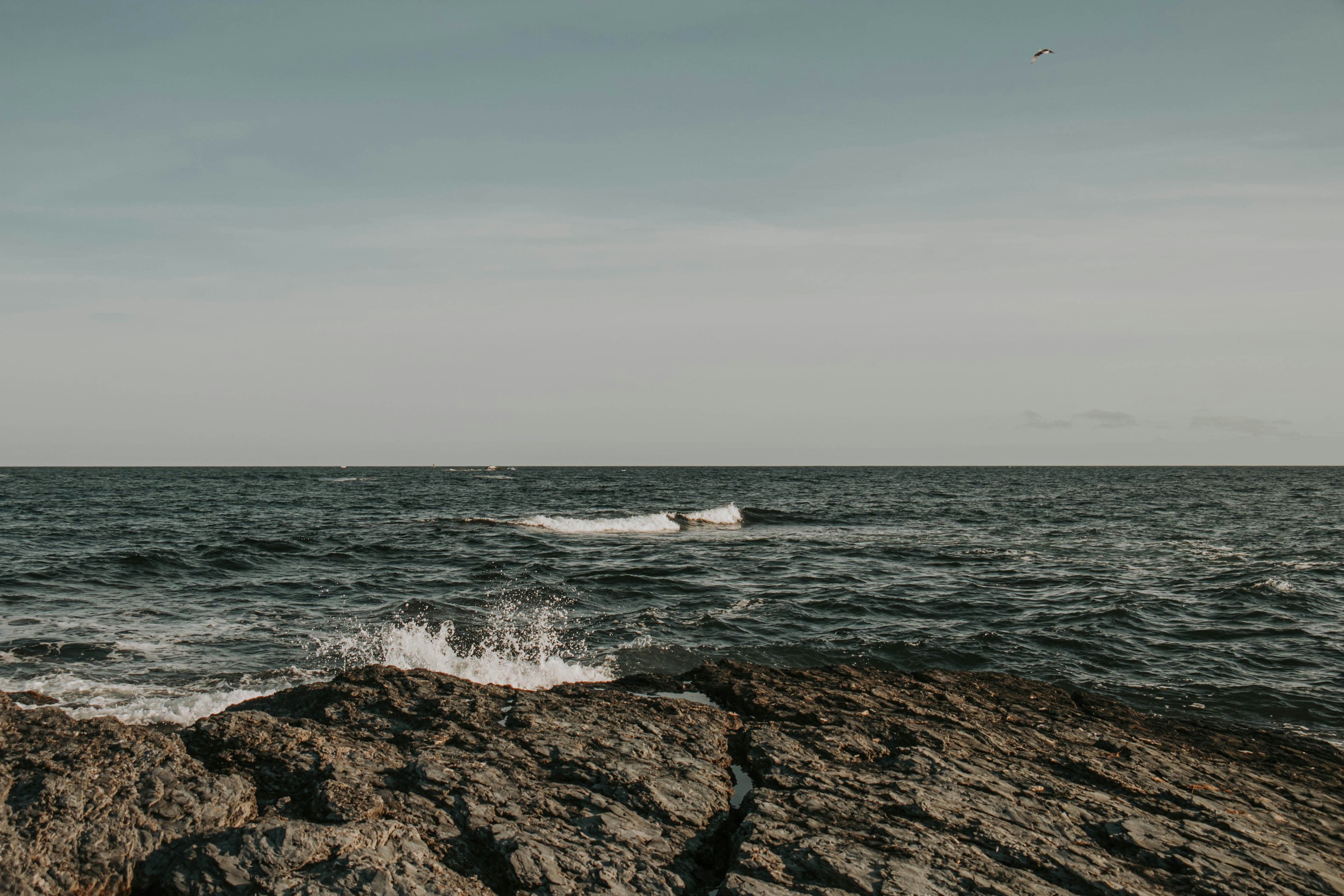 Photo by juaraujotheartist