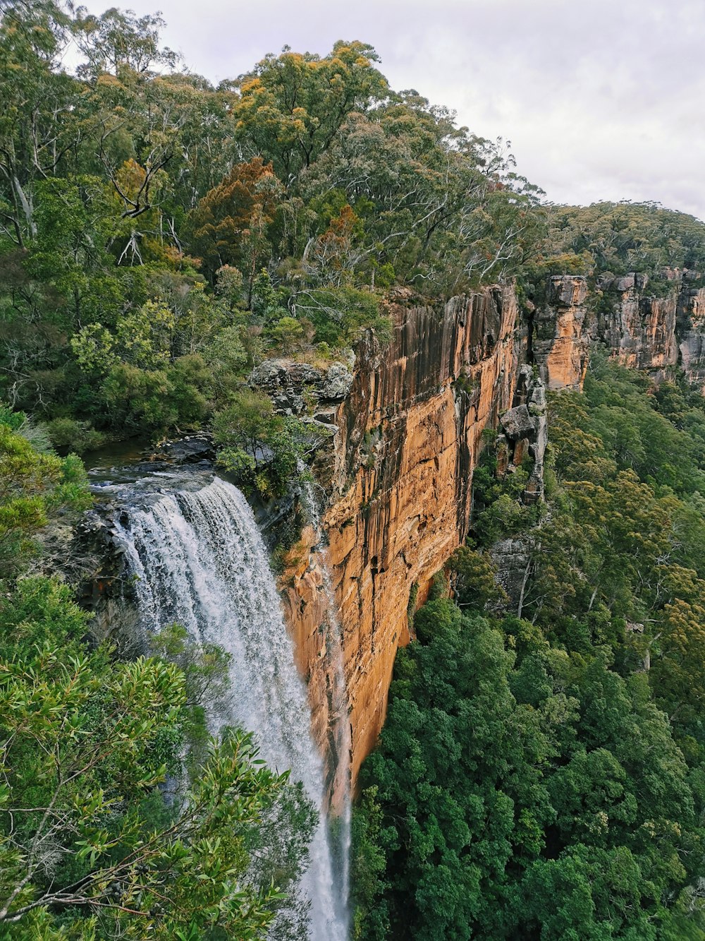 waterfalls in the middle of the forest during daytime