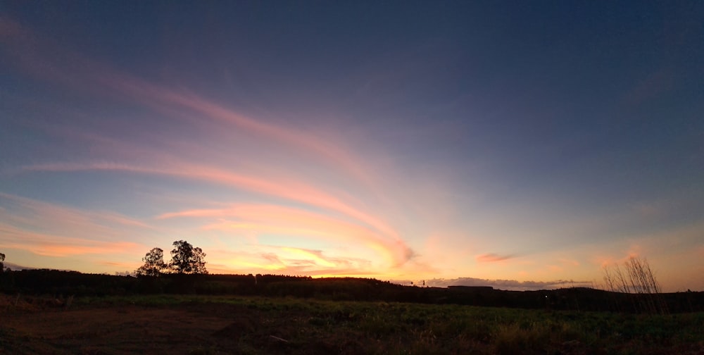 green grass field during sunset