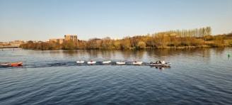 A large body of water with several small boats on it, including one orange kayak on the left and a larger motorboat towing several rowboats in a line. The background features a tree-lined shore with buildings and open grassy areas under a clear sky.