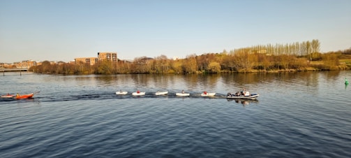 A large body of water with several small boats on it, including one orange kayak on the left and a larger motorboat towing several rowboats in a line. The background features a tree-lined shore with buildings and open grassy areas under a clear sky.