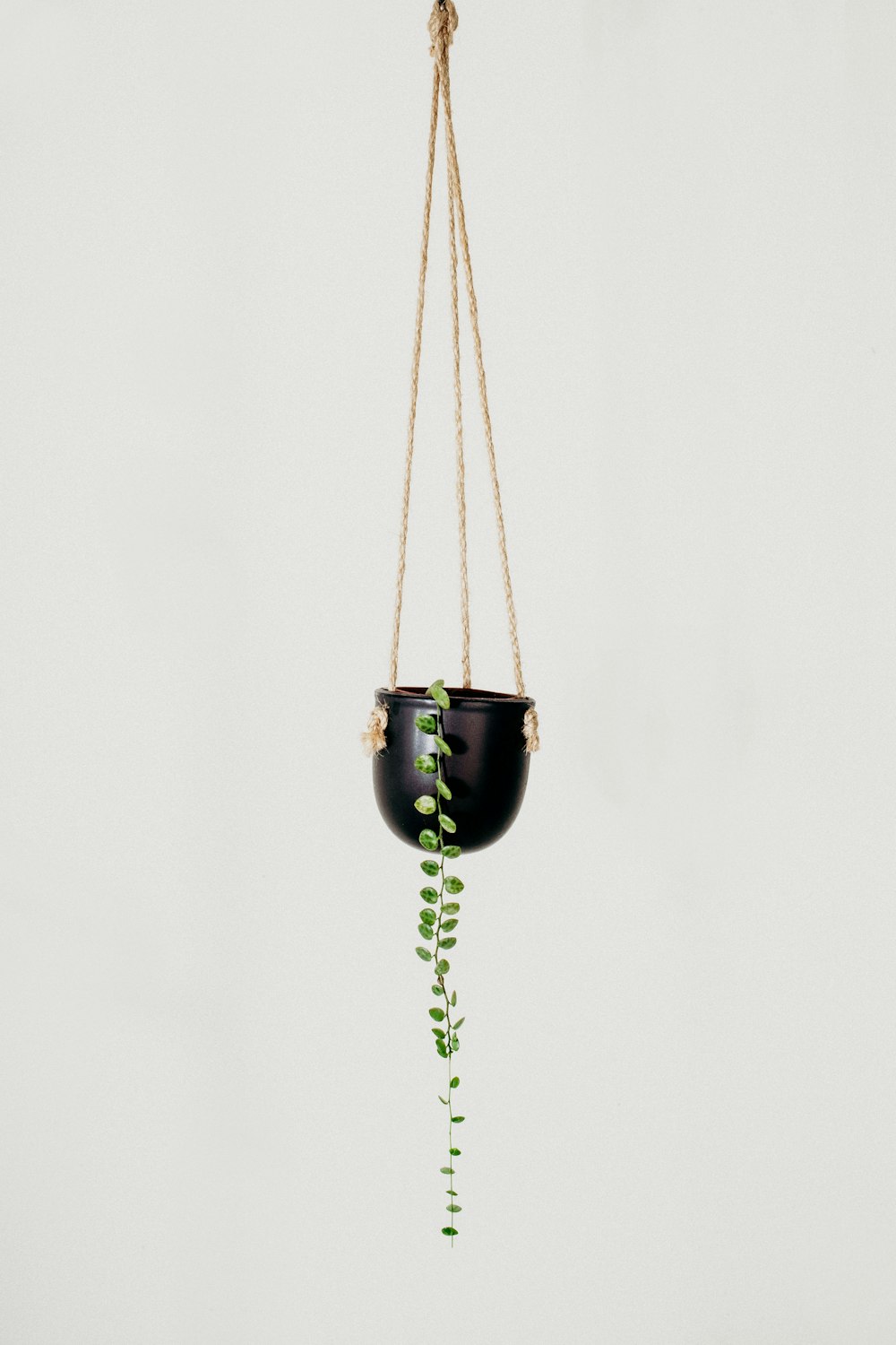 green and black hanging decor