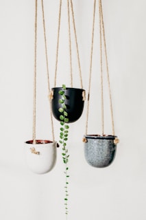 Vintage rattan hanging pots displayed against a bright wall with trailing plants.