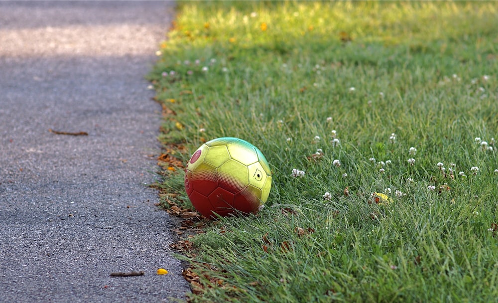 푸른 잔디 필드에 빨간색과 녹색 축구 공