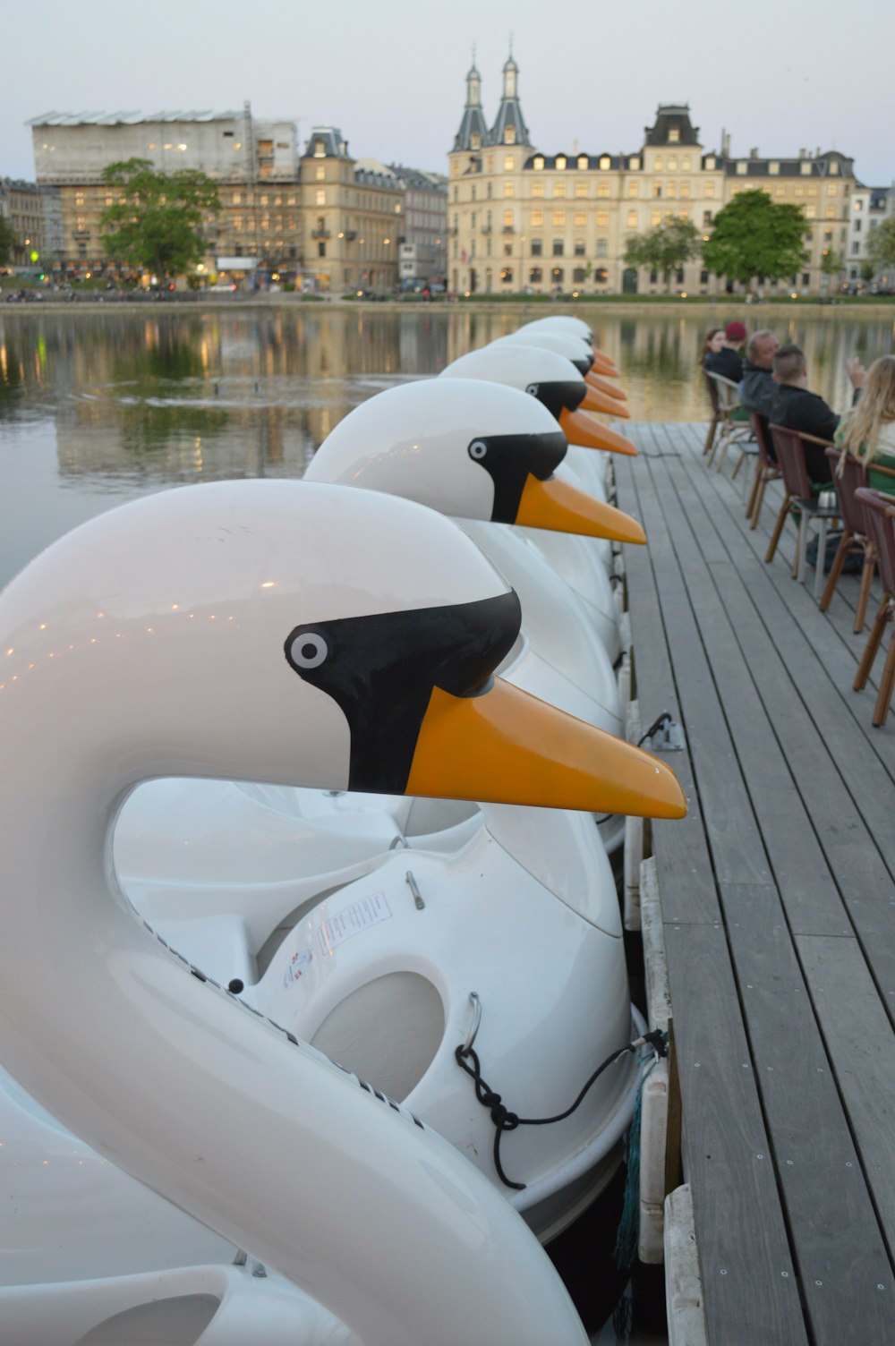 white and black duck inflatable float on dock during daytime