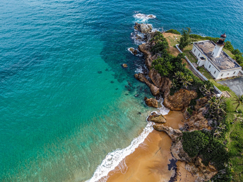 aerial view of green trees near body of water during daytime