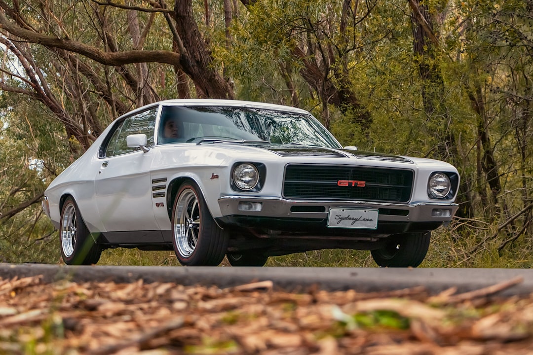 white chevrolet camaro parked on road during daytime