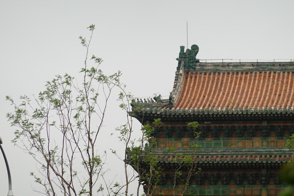 brown and white temple near body of water during daytime