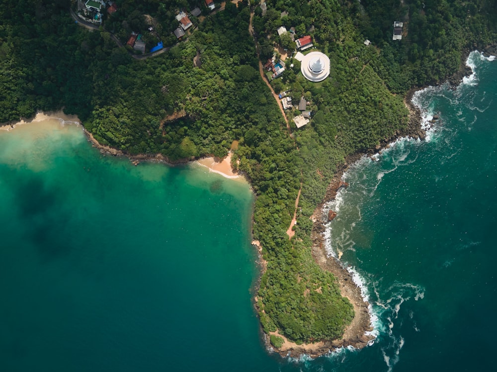 aerial view of green trees and lake