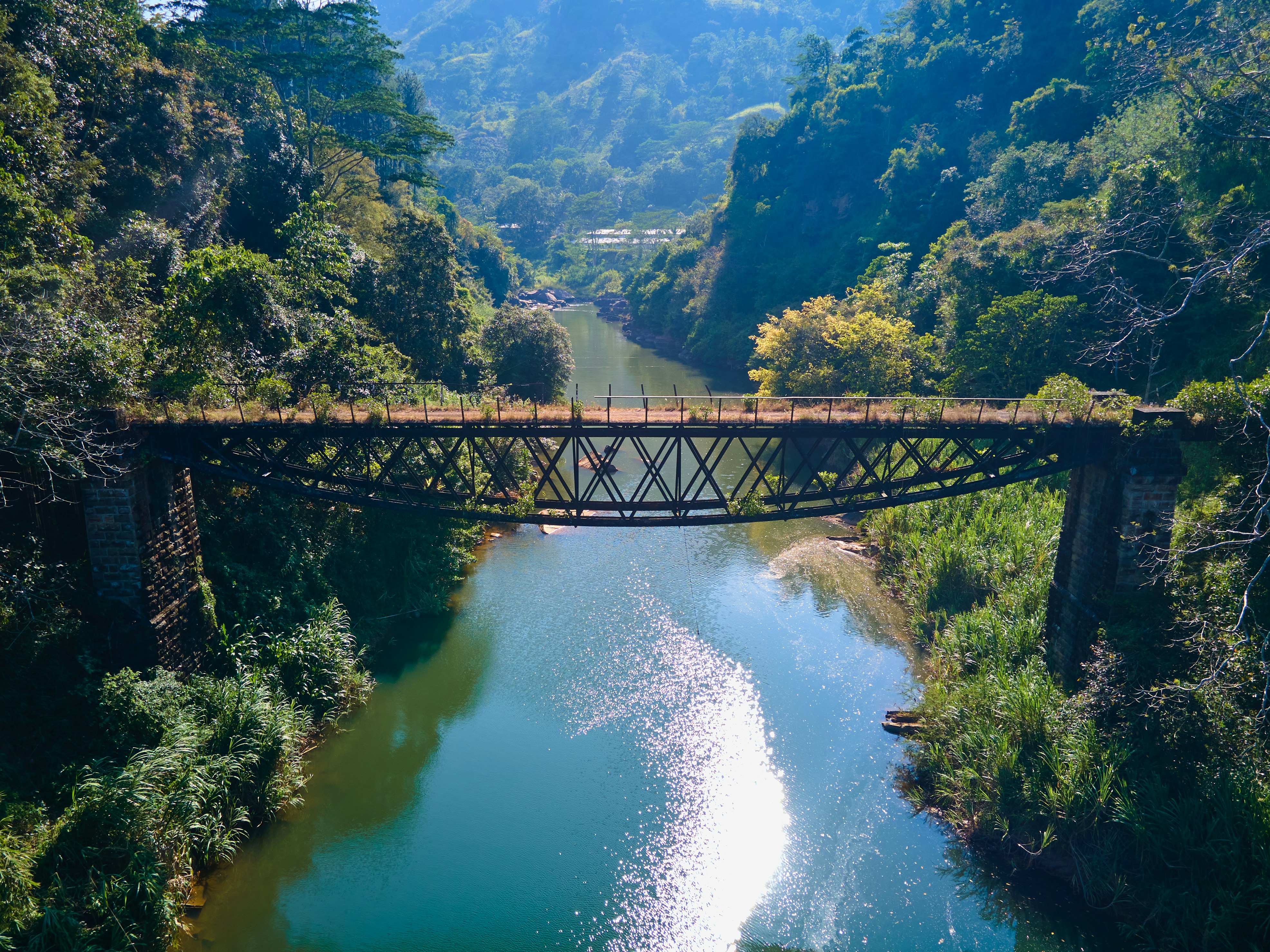 green trees and river during daytime