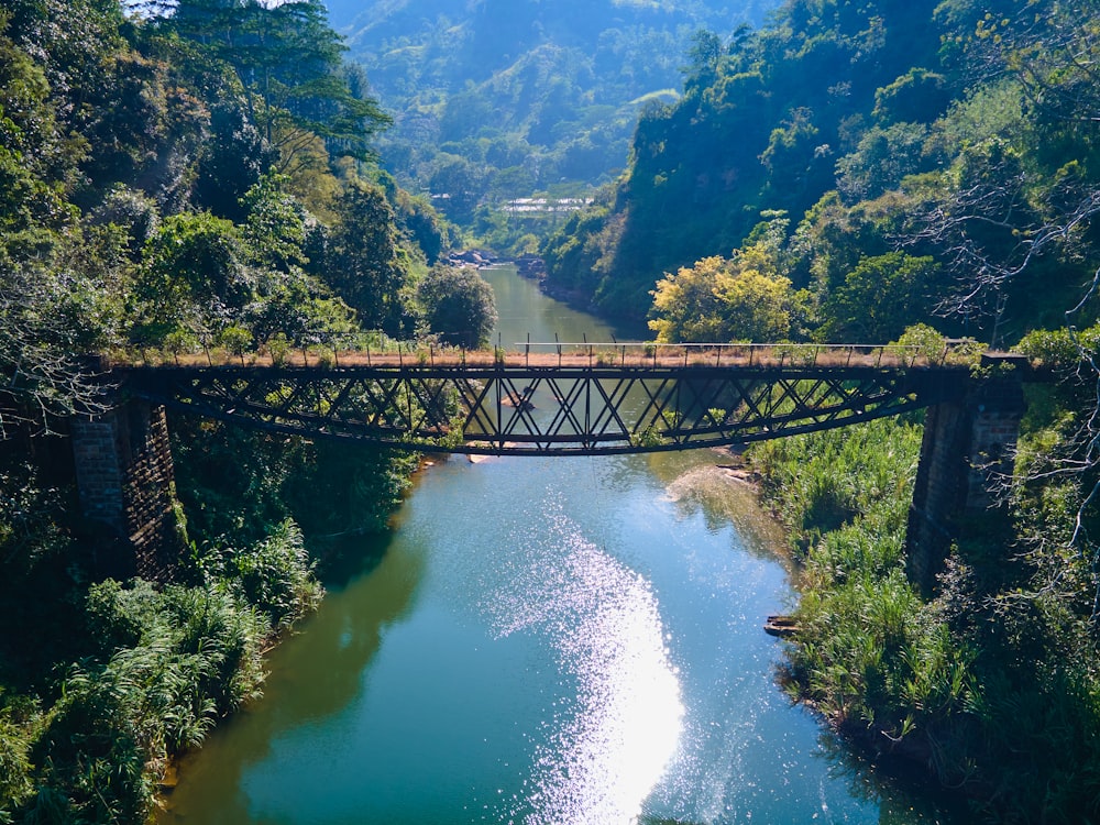 green trees and river during daytime