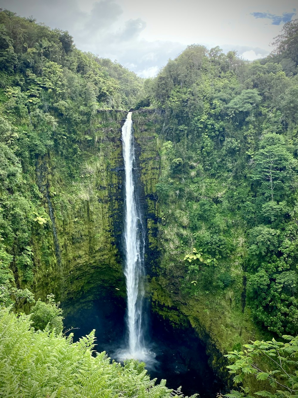 waterfalls in the middle of green trees