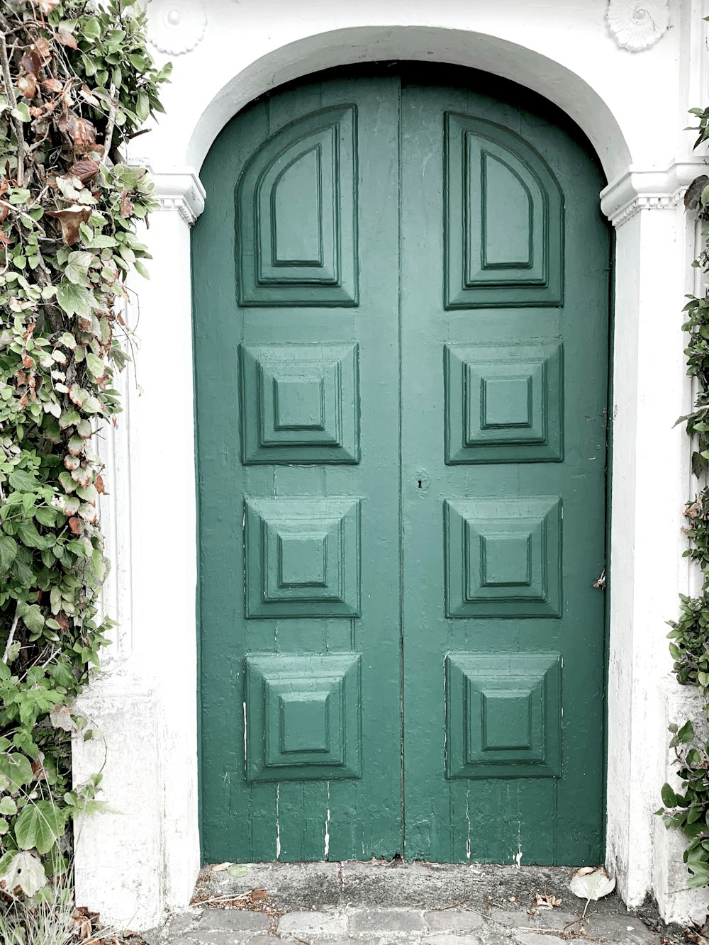 blue wooden door with green plants