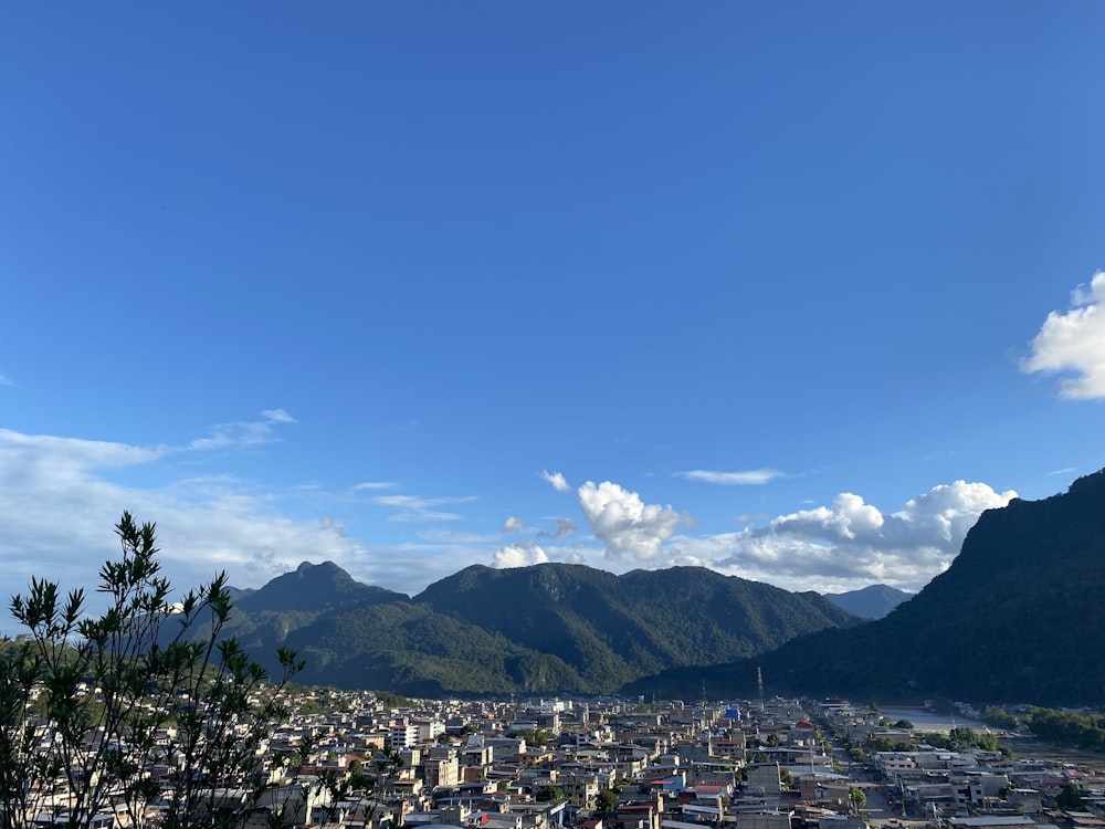 green trees and mountains under blue sky during daytime