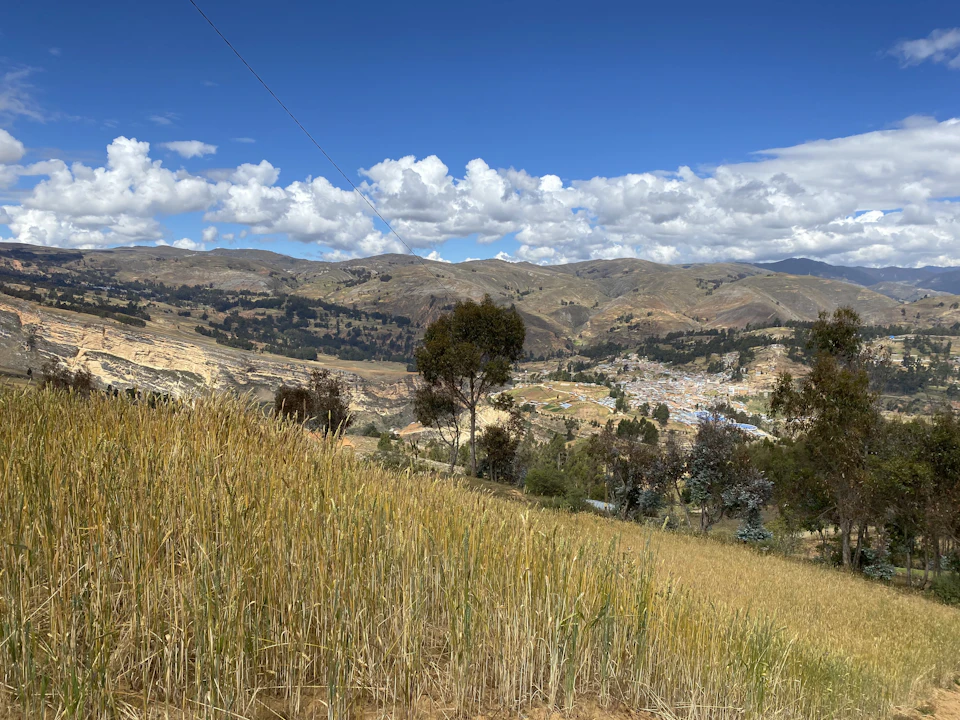 The image depicts a serene landscape with a hill covered in dry grass, surrounded by trees and mountains. The sky above is clear blue with fluffy white clouds. In the distance, there are buildings visible on the mountain side, suggesting human presence amidst nature's beauty.