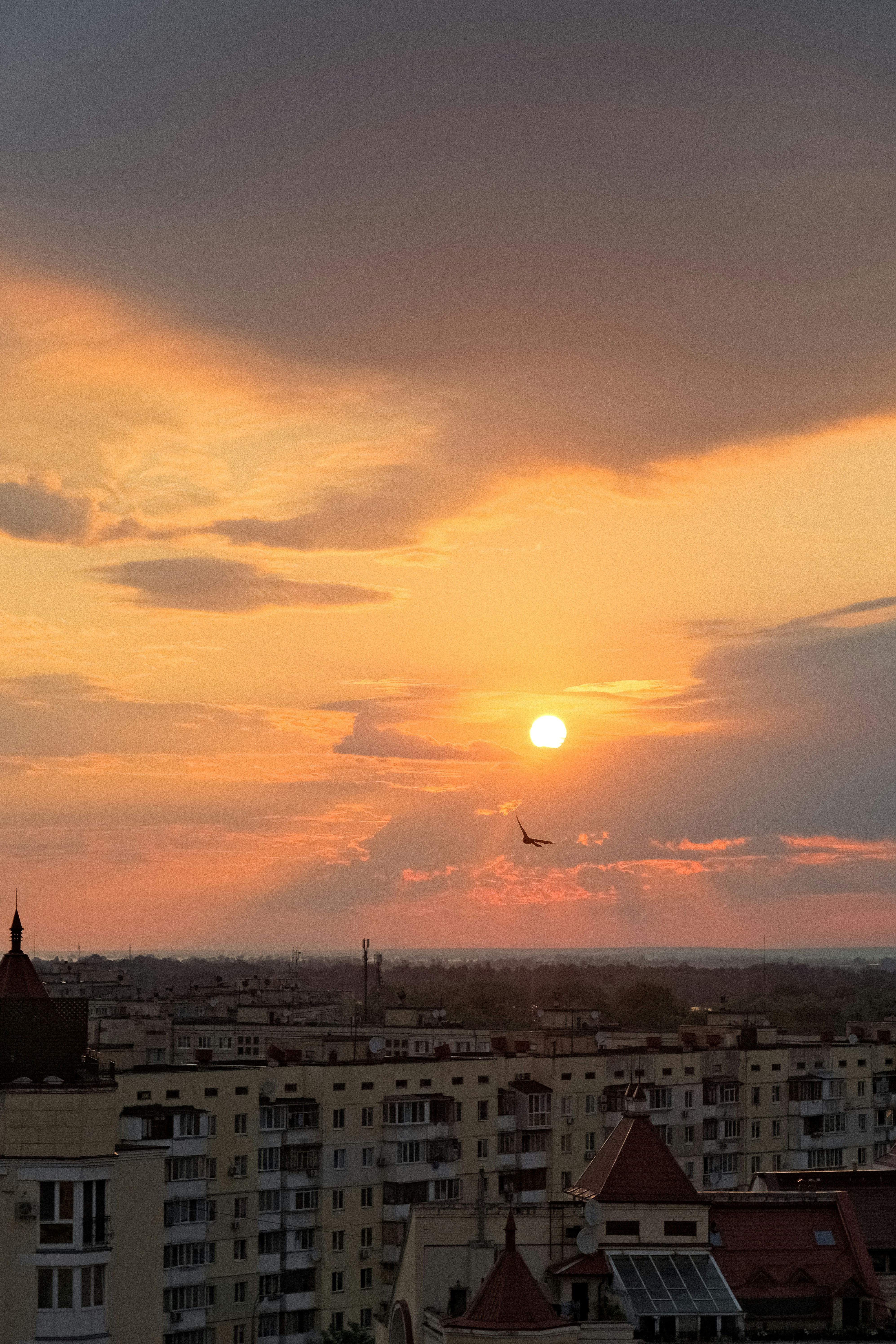 Photo by egorkomarov