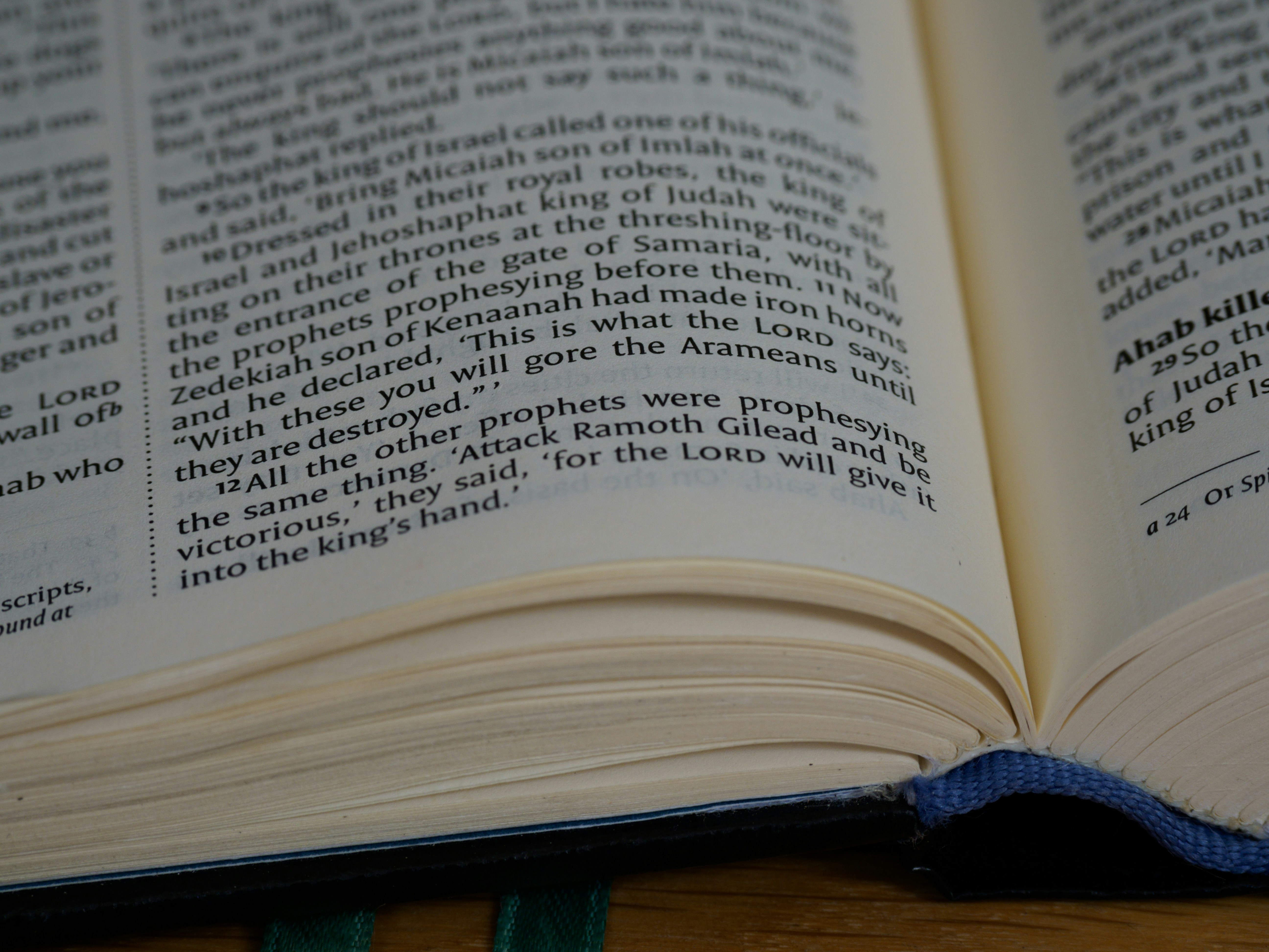 Photo by brett_jordan