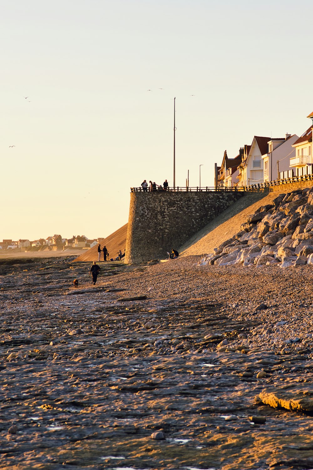 people walking on beach shore during daytime