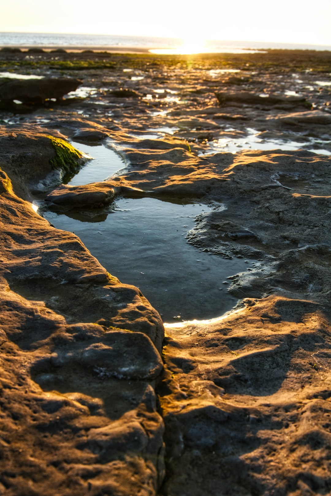brown rocky shore with water