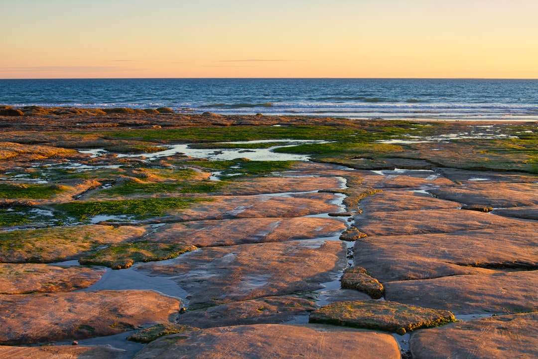 brown rocks on sea shore during sunset