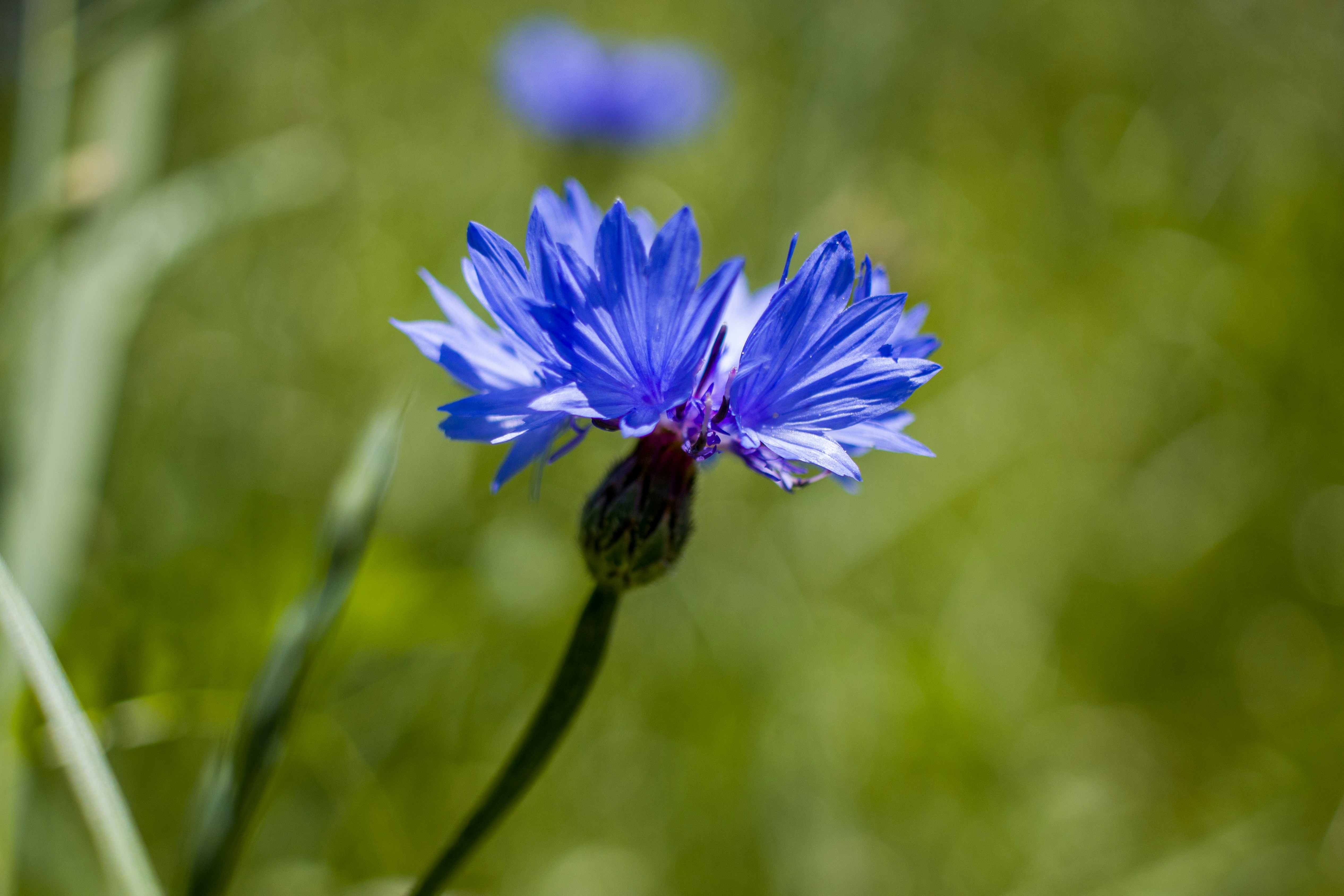 Photo by uin84917798