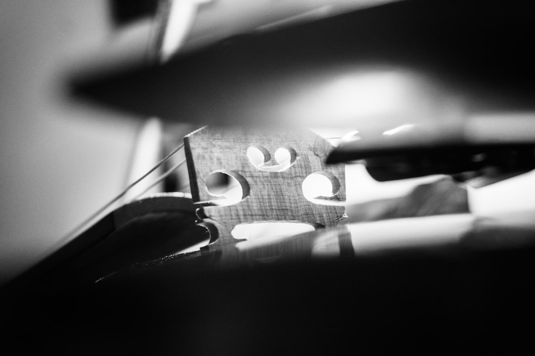 grayscale photo of violin on textile