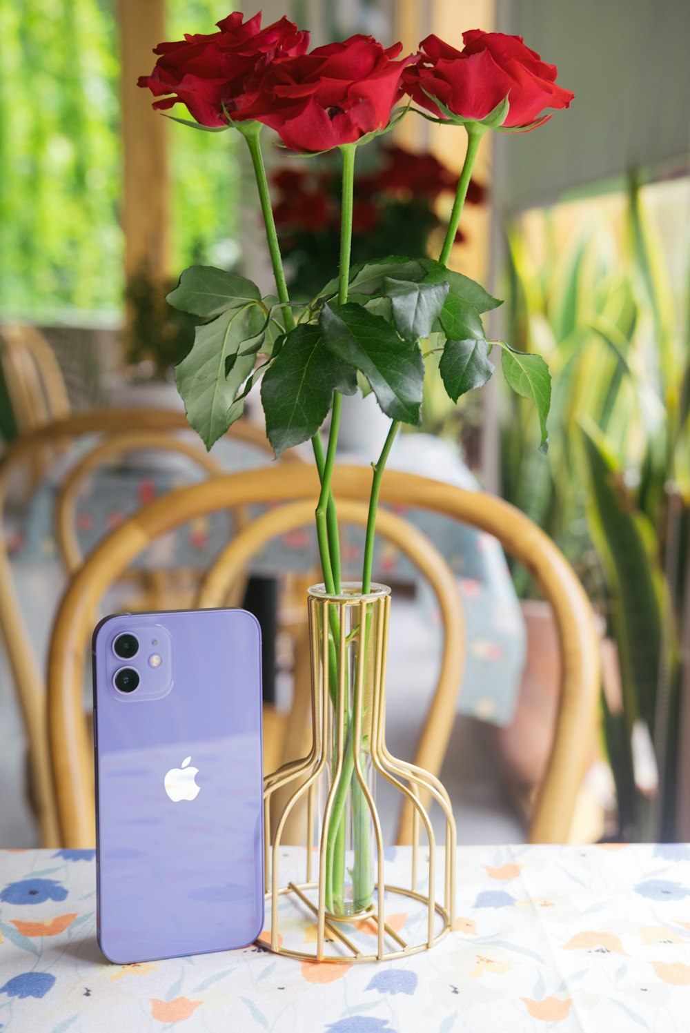 iPhone 6 plateado en planta verde