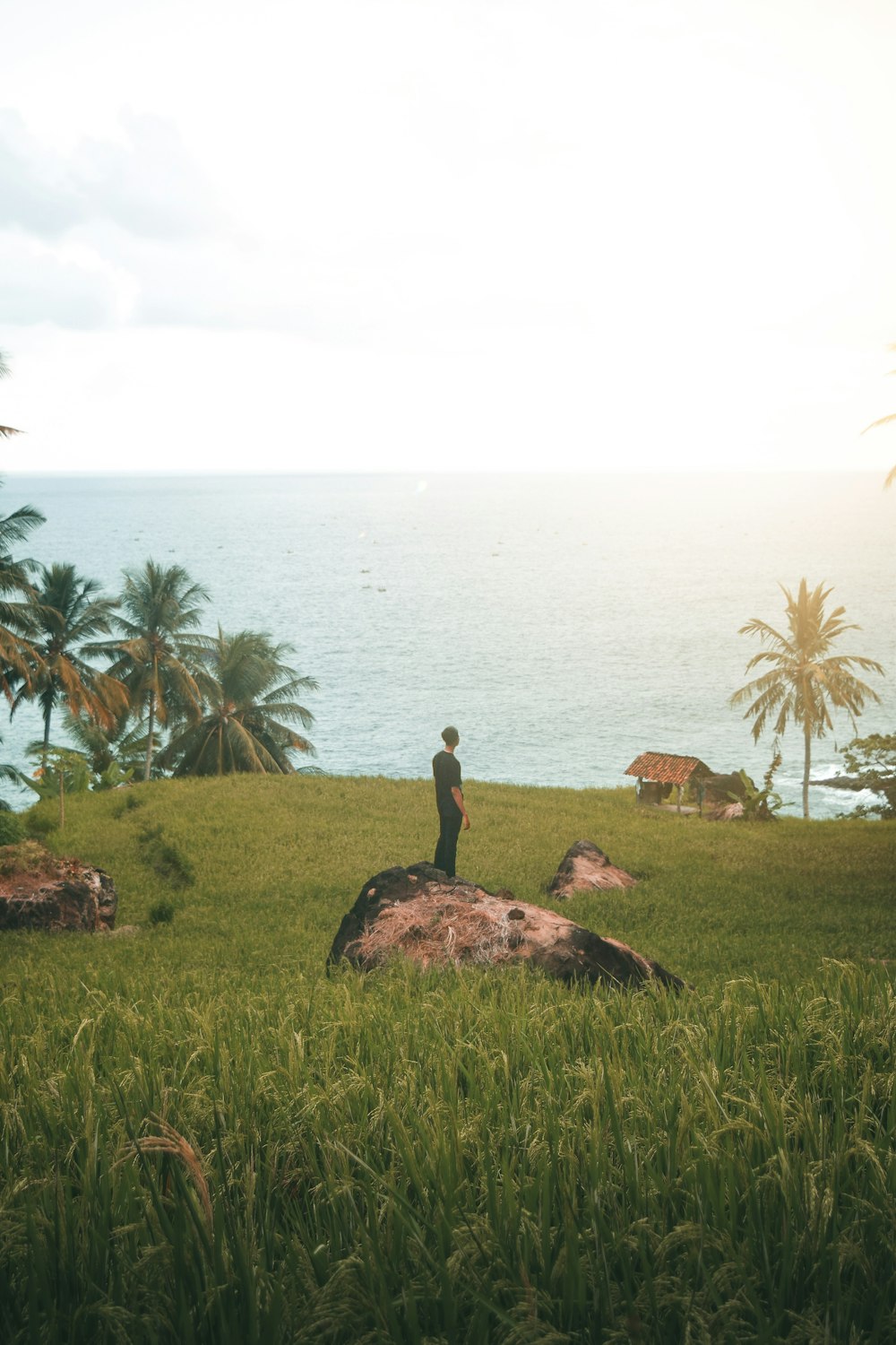 person standing on rock near body of water during daytime