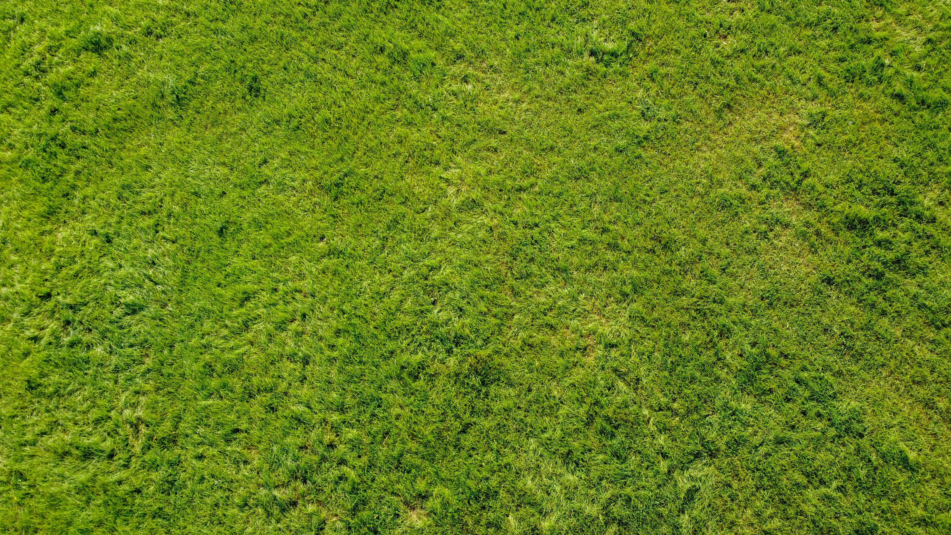 GRΞΞN GRASS