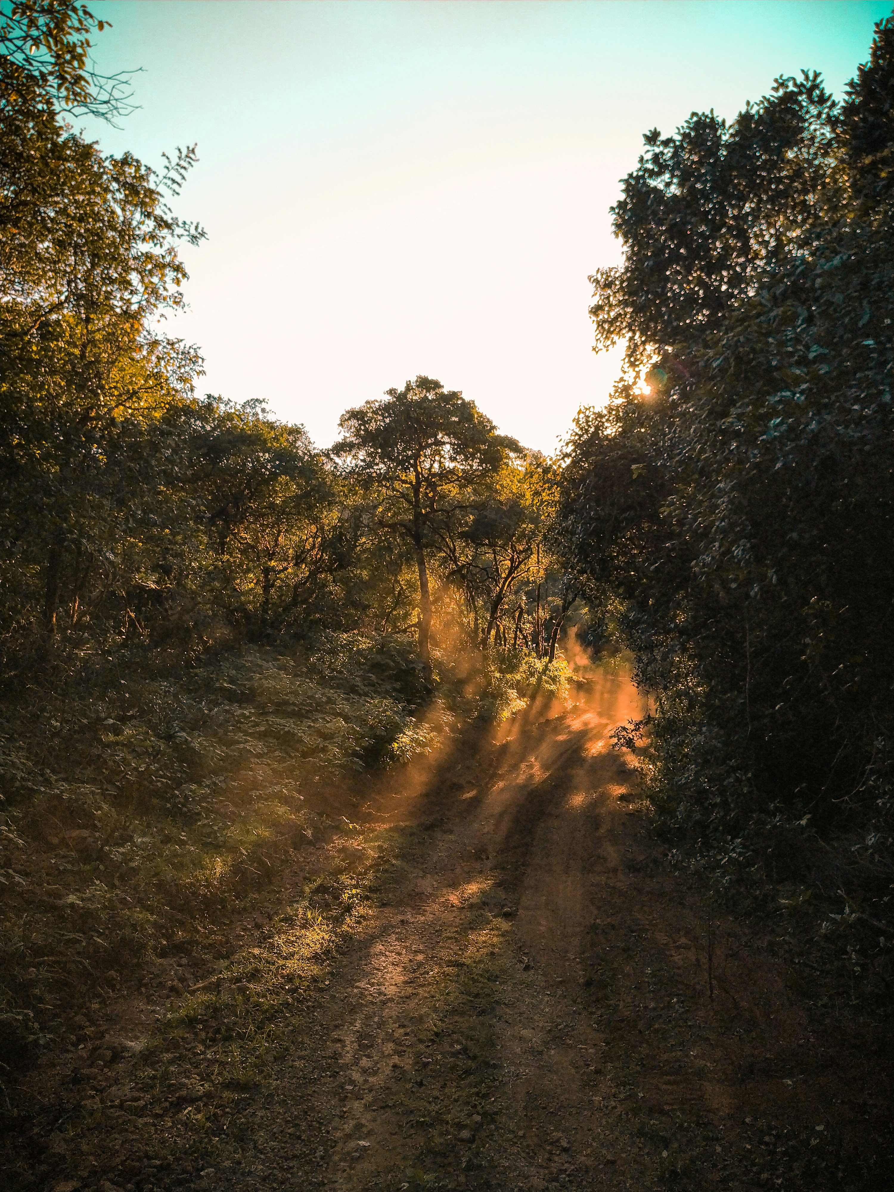 Photo by randomtandem