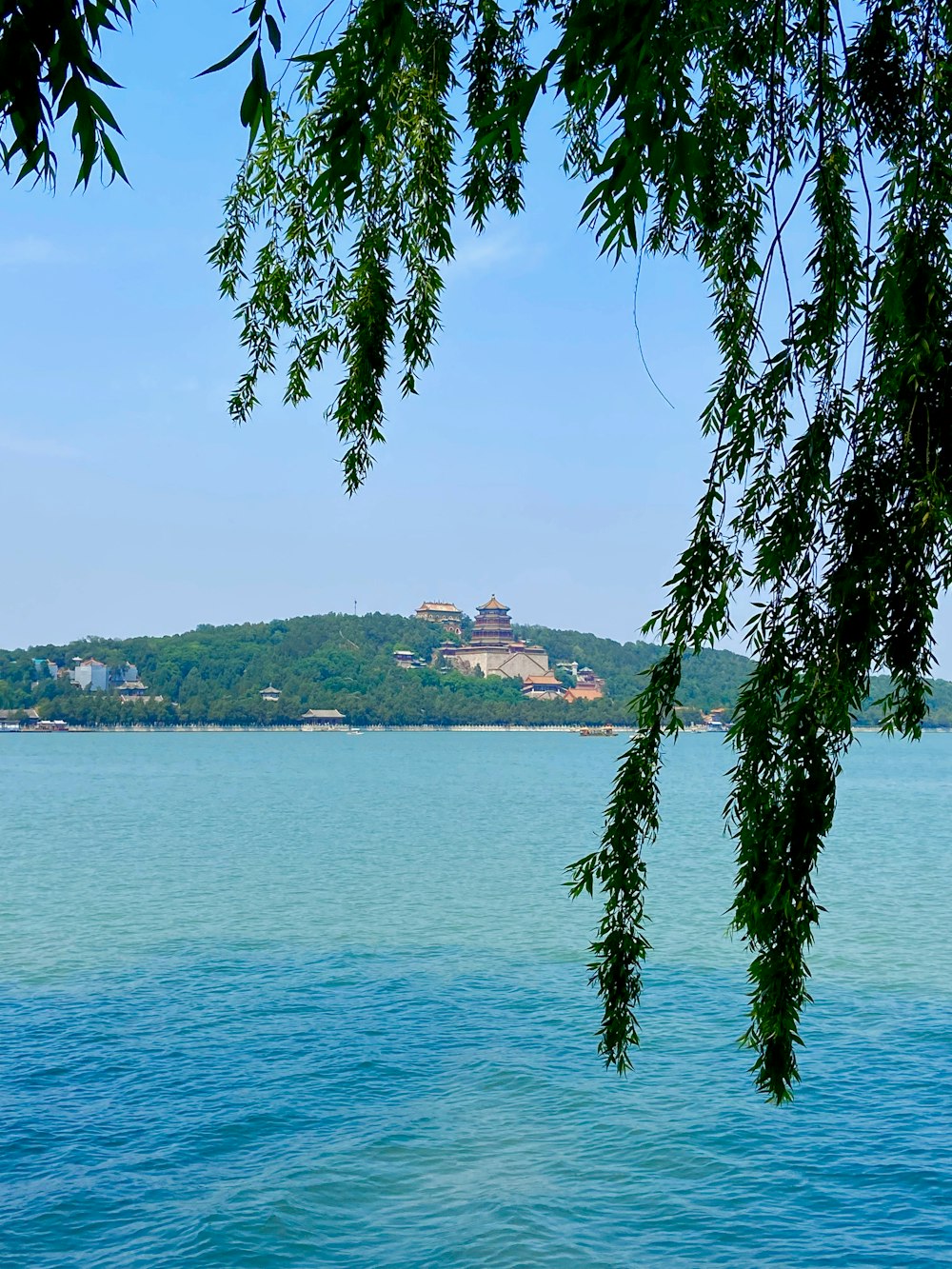 green trees near body of water during daytime