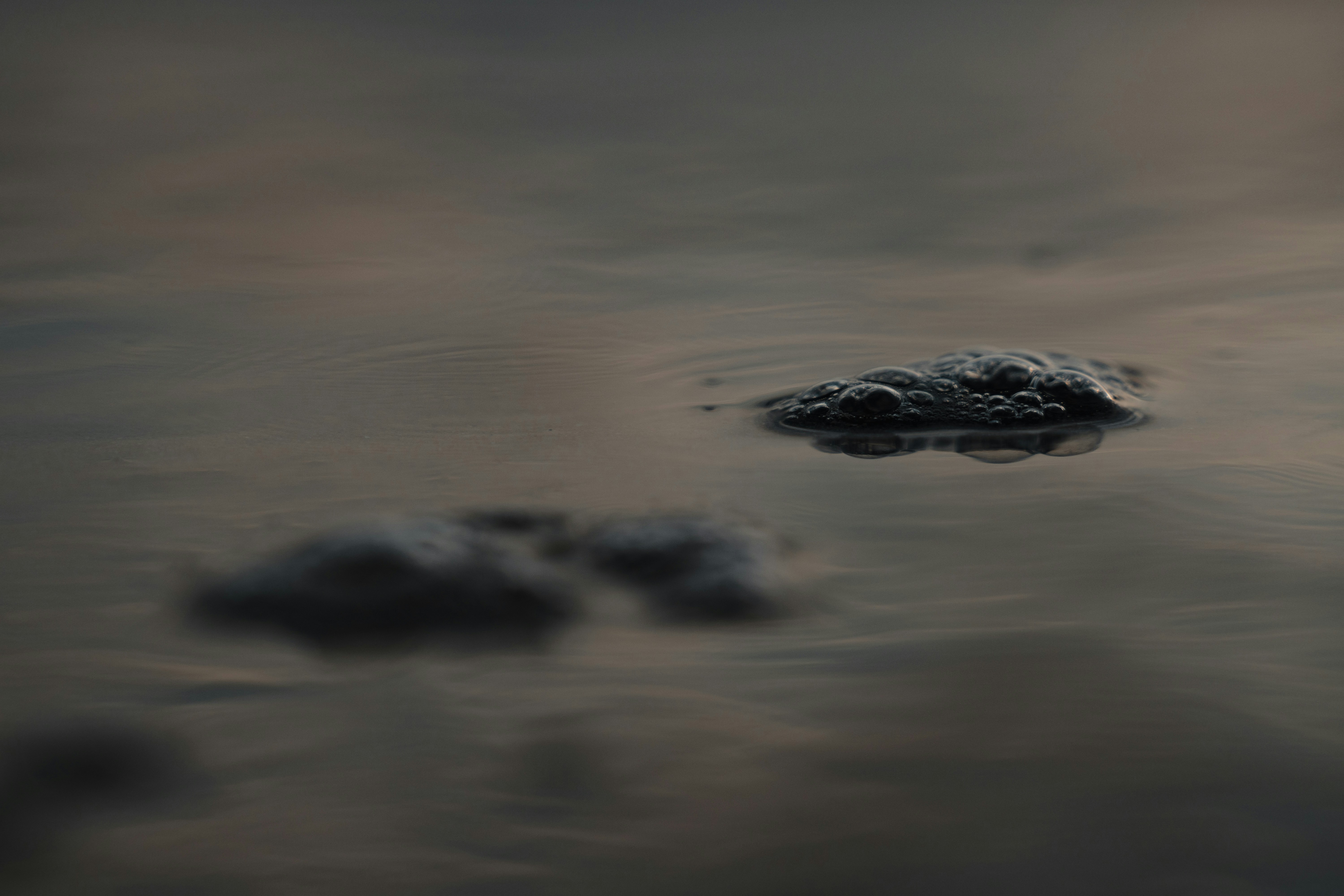 Photo by michielannaert