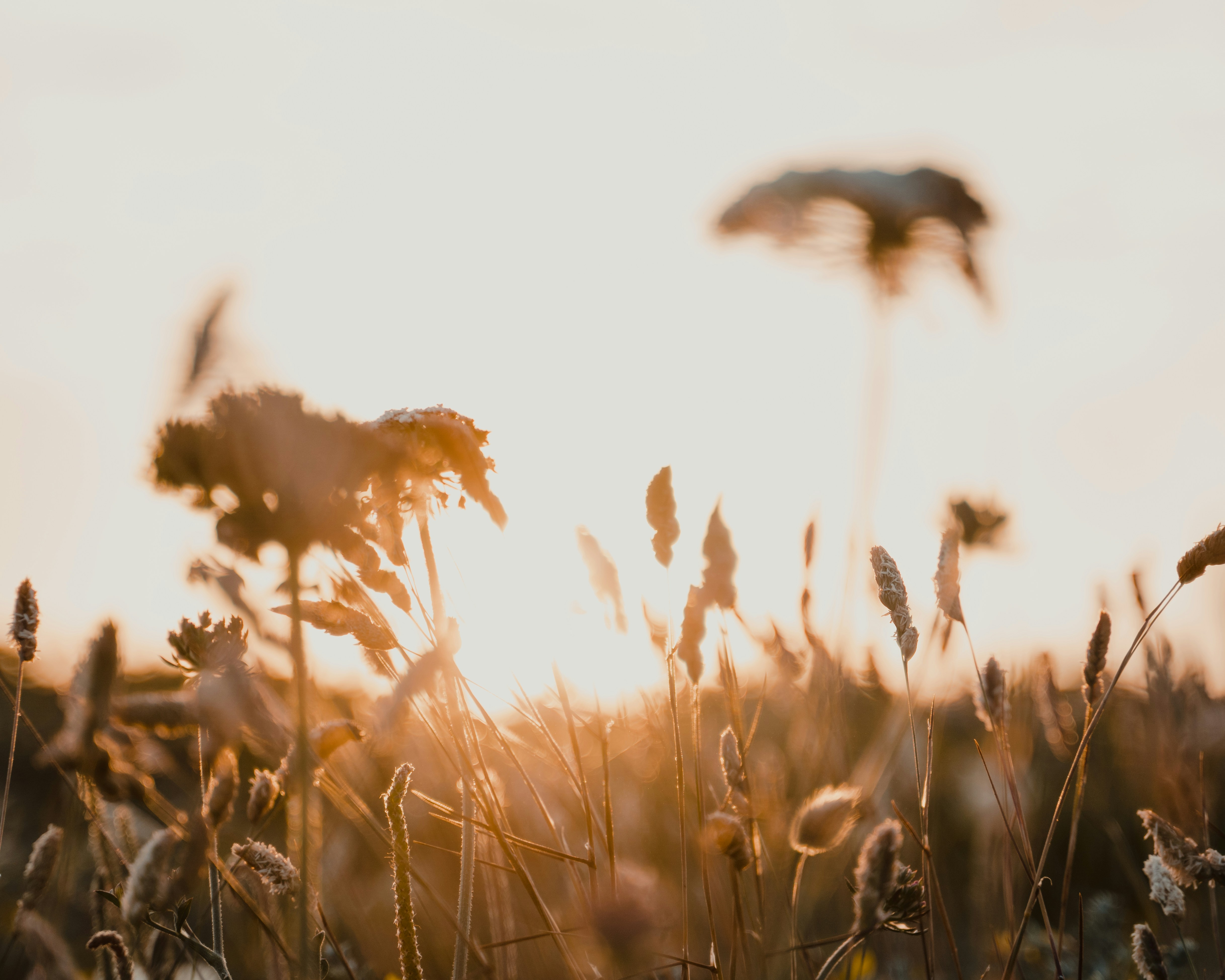 Photo by michielannaert