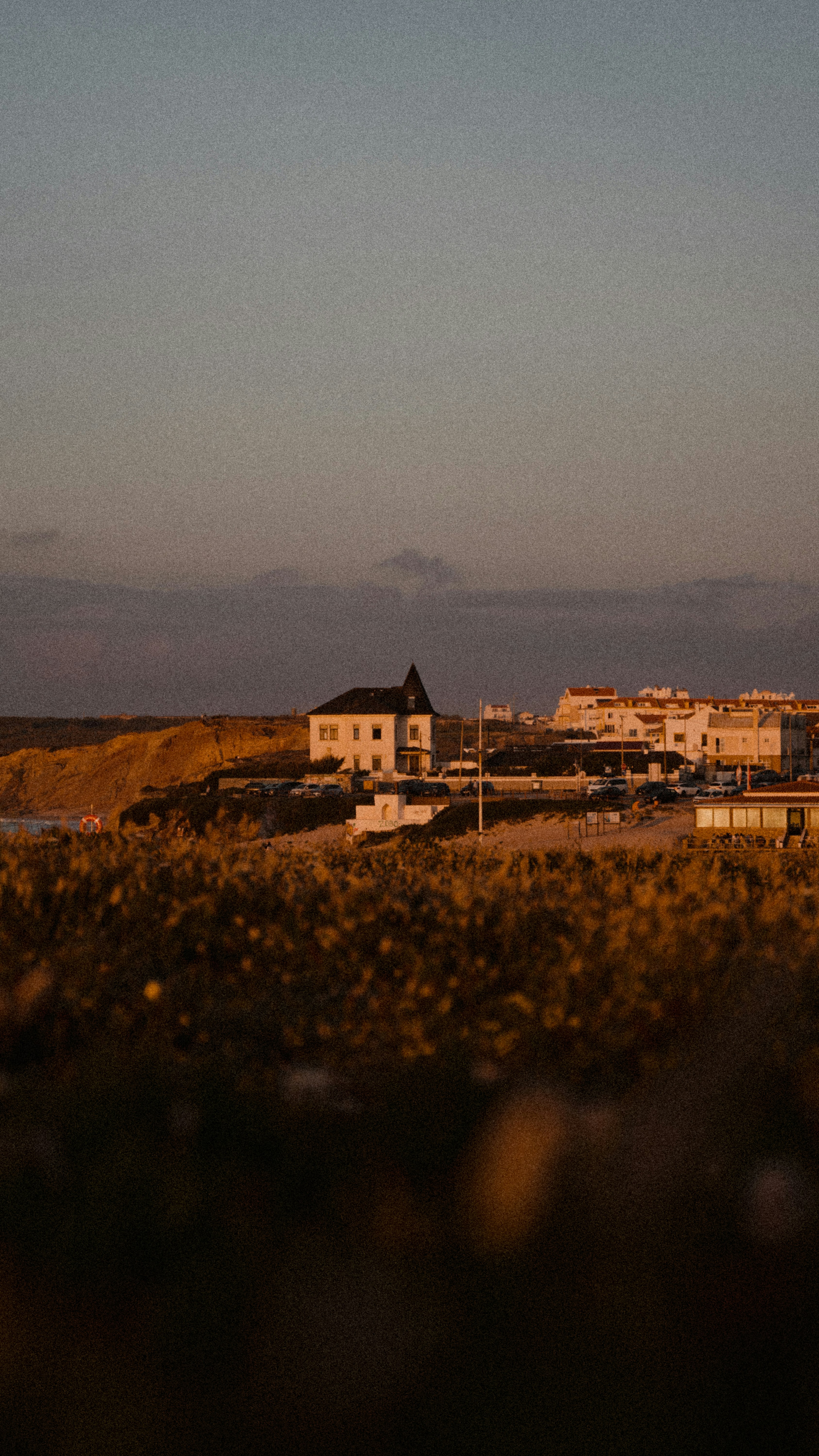 Photo by michielannaert