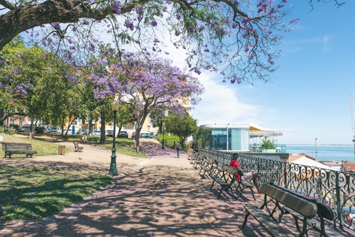 people walking on park during daytime