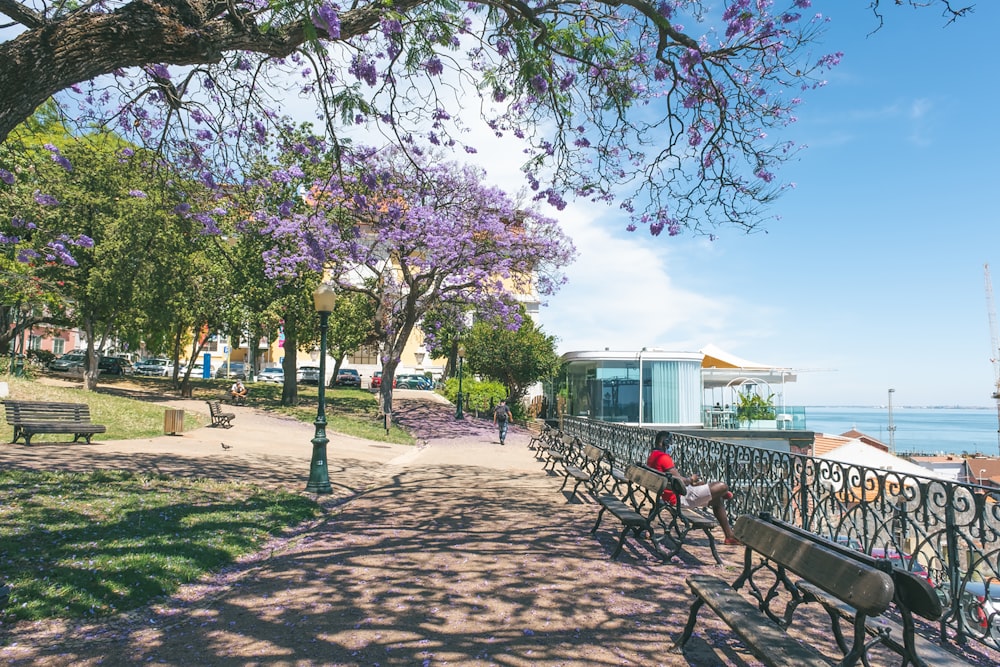 people walking on park during daytime