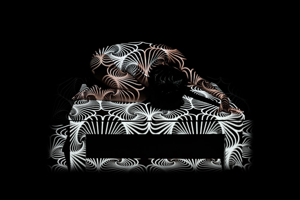 black and white zebra pattern textile