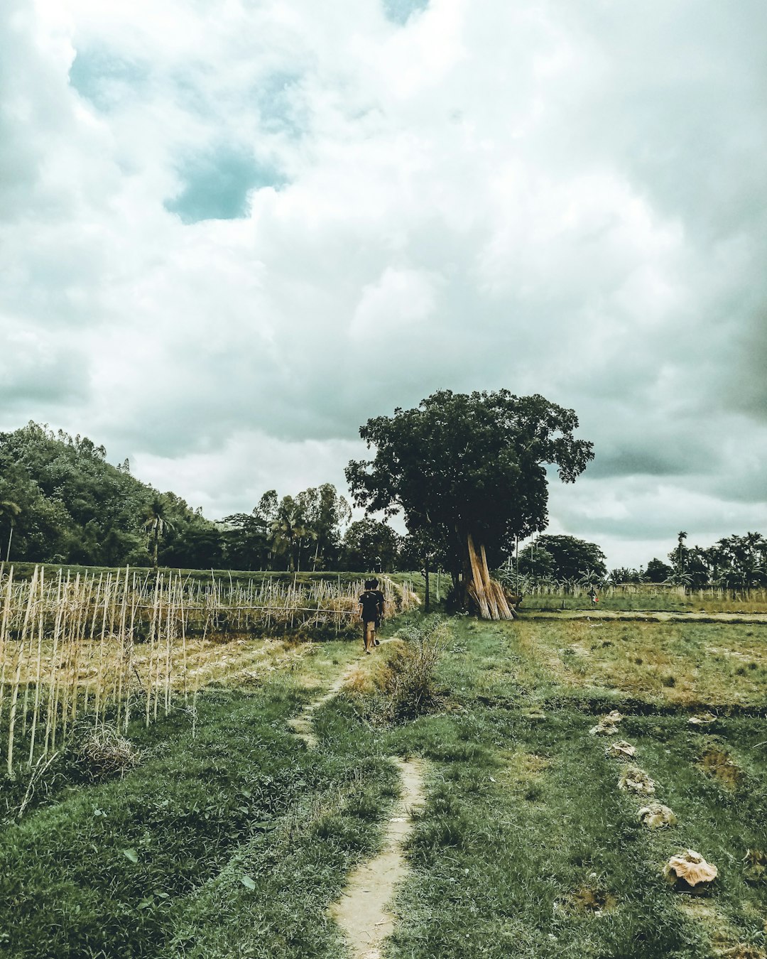 Highland photo spot Sitakund Bangladesh