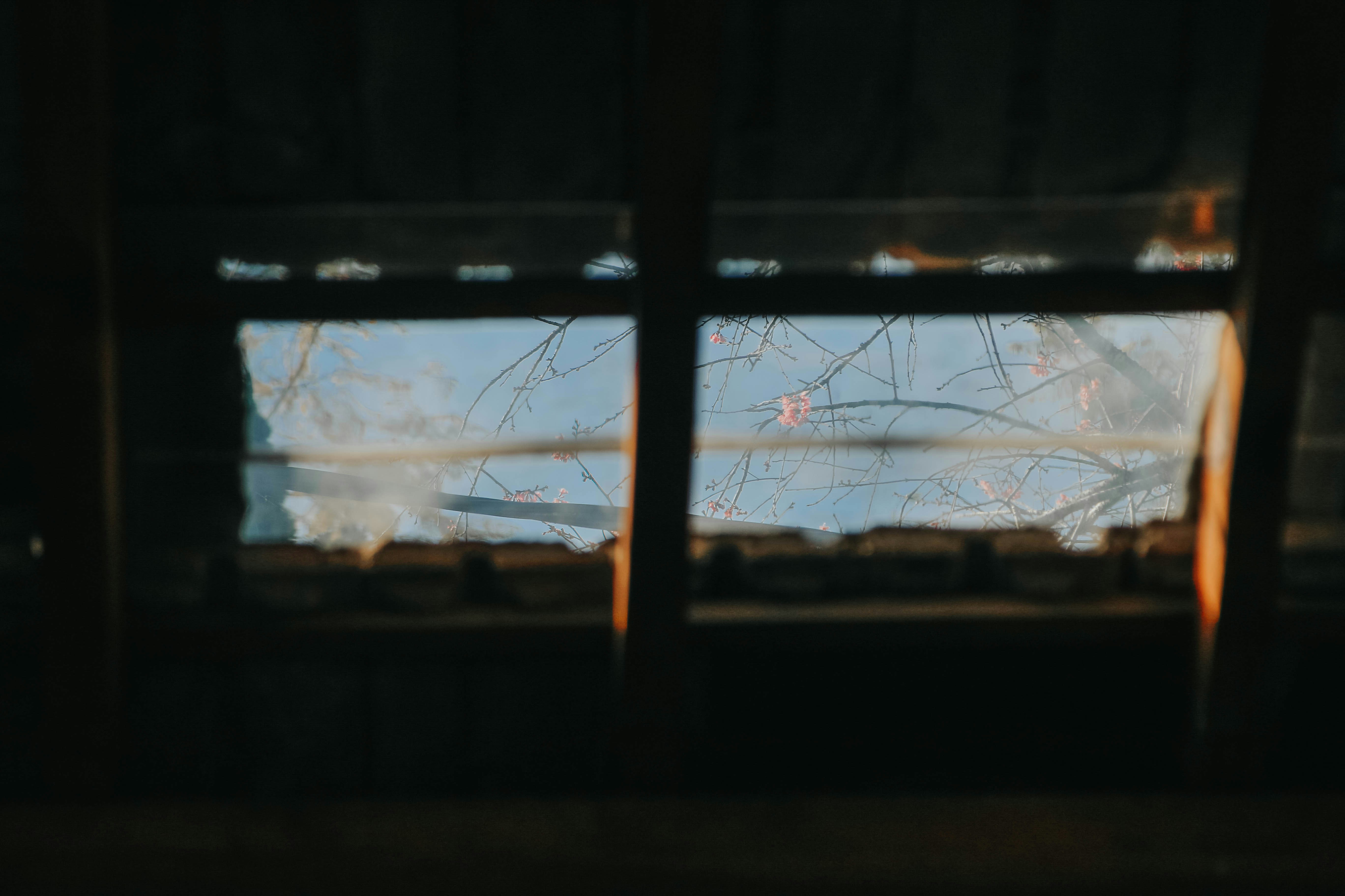 Photo by sinhletrong08