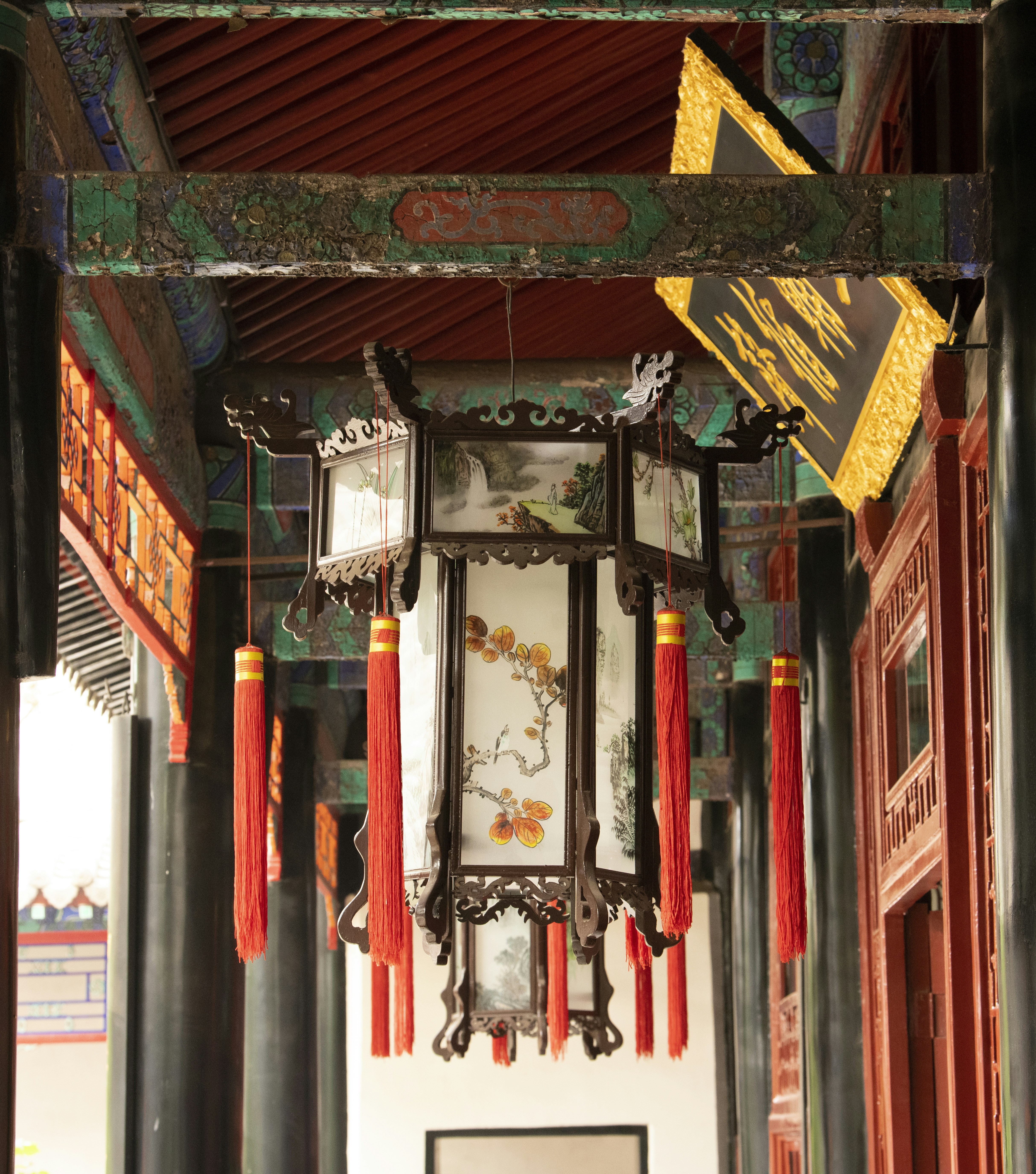 Photo by wangvictor222